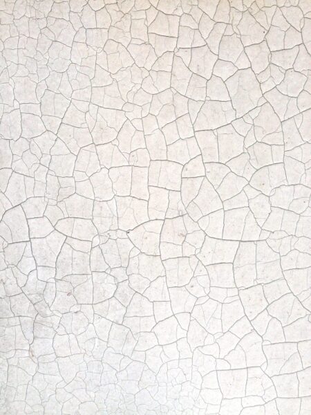 Webp.net compress image scaled