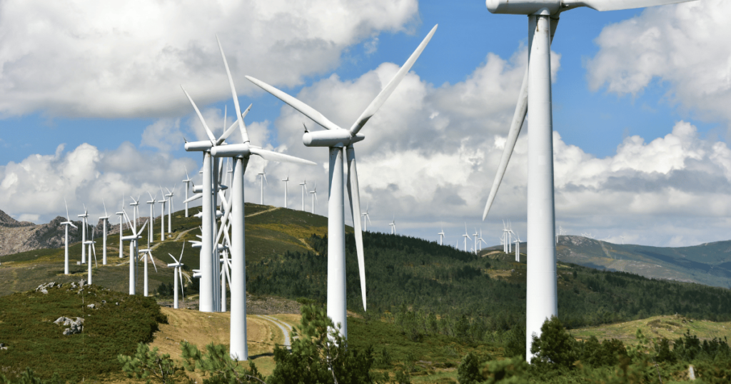 Windmills landscape on a clear afternoon