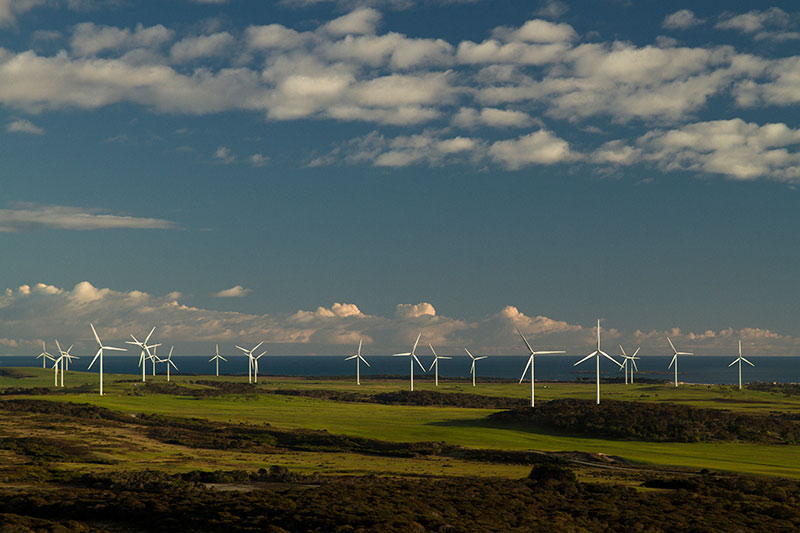 Musselroe Wind Farm