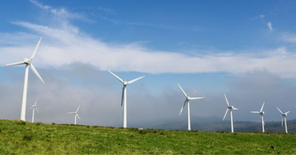 Danterr Windfarm Homepage