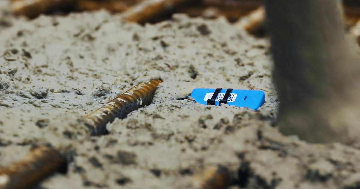 Converge Signal sensor embedded in concrete pour for real-time curing monitoring